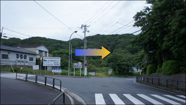 procedure3.jpg